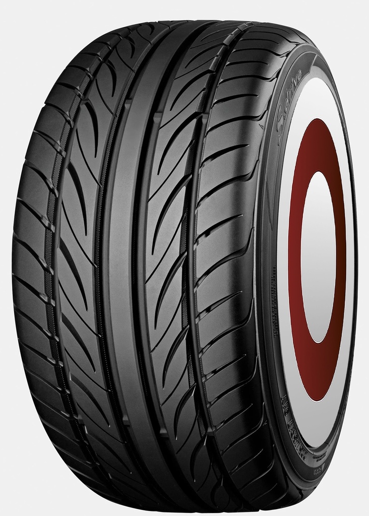 225/45 R19 96W S DRIVE AS01 BW TL