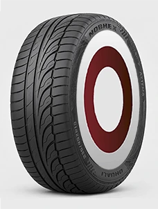 [MXLD 225/60 R17] 225/60 R17 99H JAYGUEY NOBHEX